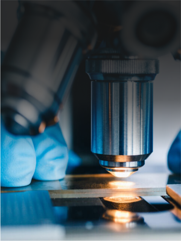 Leading Research Institute Safeguards Collaborations with Organizations Search